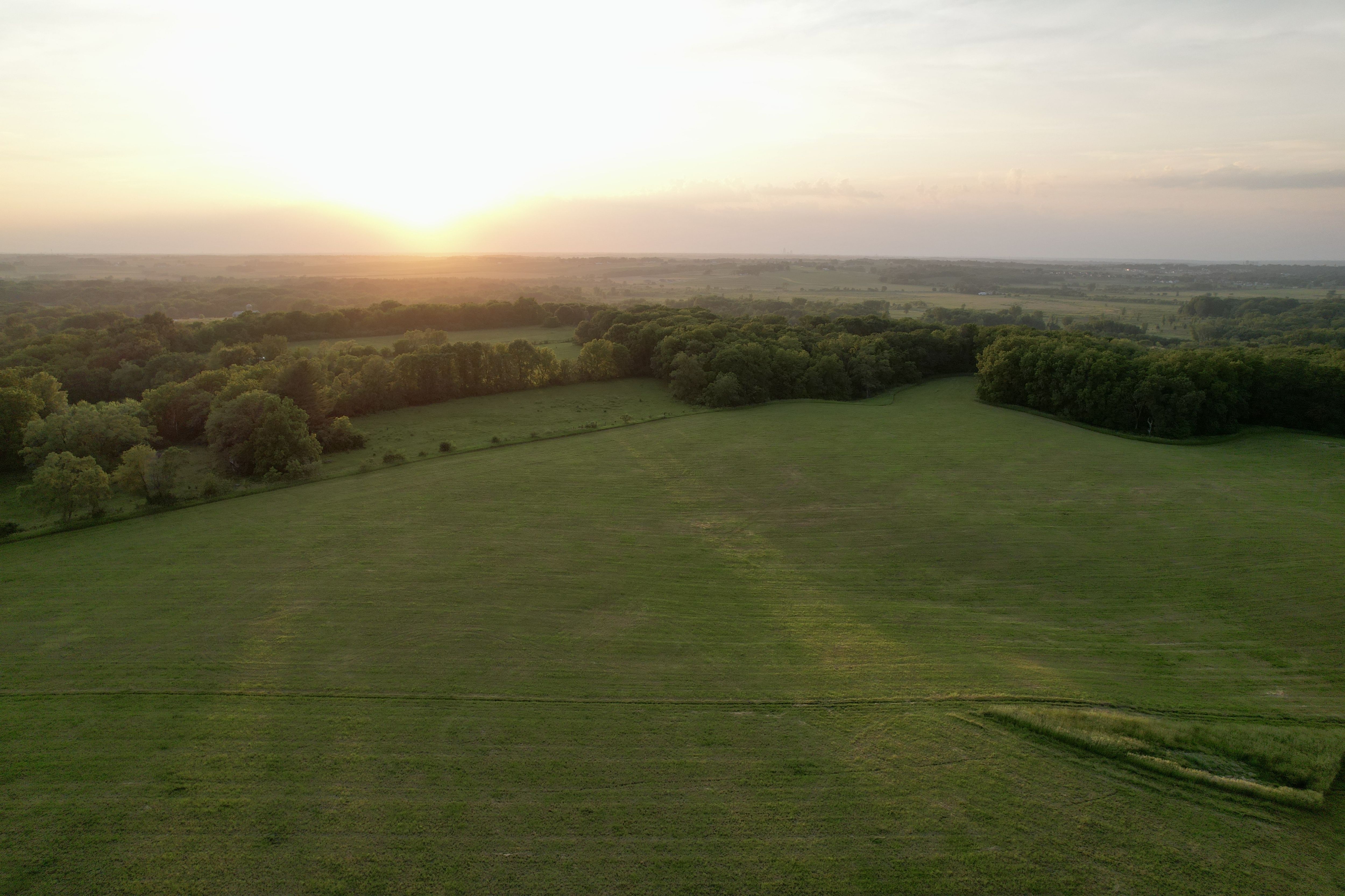 Listing #18419